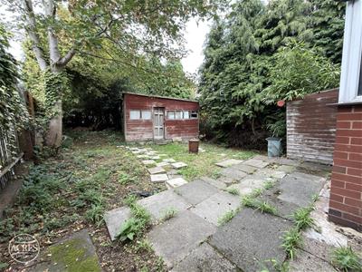 Picture 24